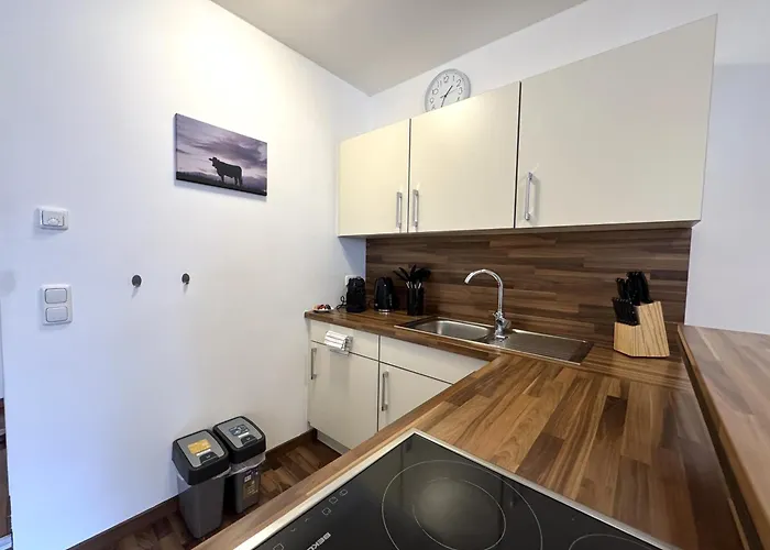 Διαμέρισμα Serles - Im Zentrum Von Fulpmes